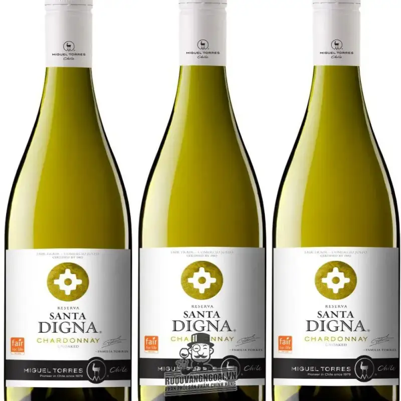 Vang Chile Santa Digna Chardonnay Reserva Miguel Torres