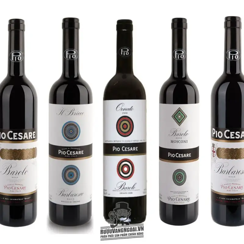 Địa chỉ bán vang y pio cesare il bricco single vineyard giá rẻ tại Hà Nội