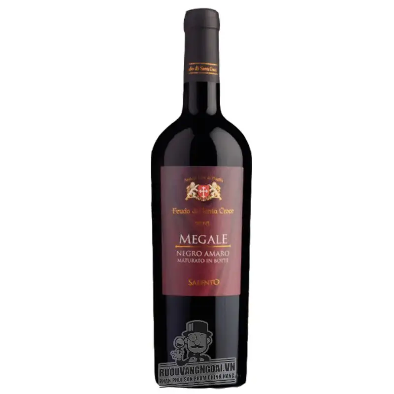 Vang Ý Megale 2016 NegroAmaro Salento Tinazzi
