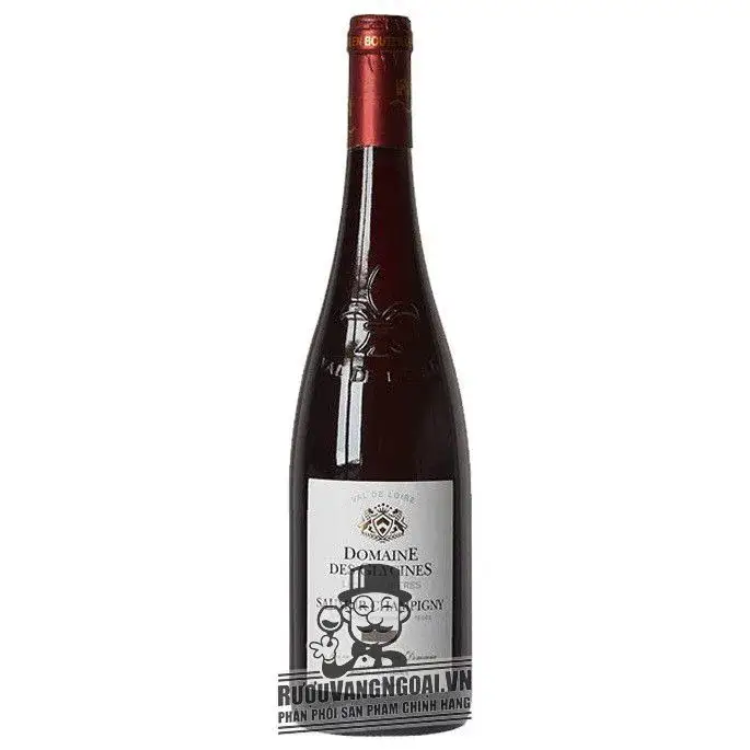 Vang Pháp Saumur Champigny Domaine Des Glycines uống ngon
