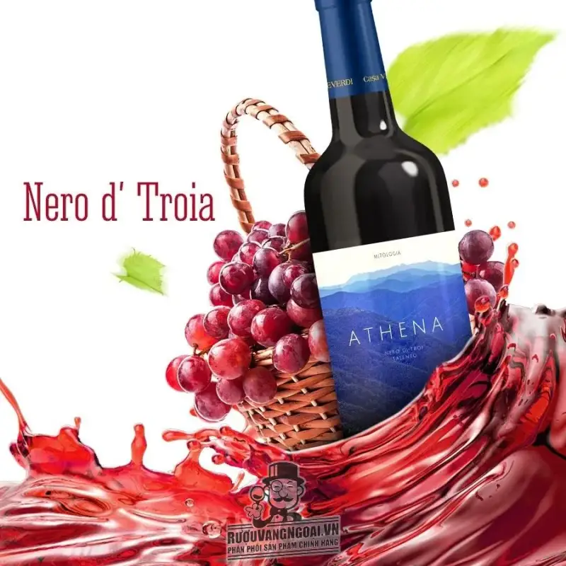 Vang Ý Athena Nero Di Troia Puglia Mitologia Hảo hạng