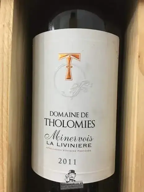 Vang Pháp Domaine de Tholomies 1.5L