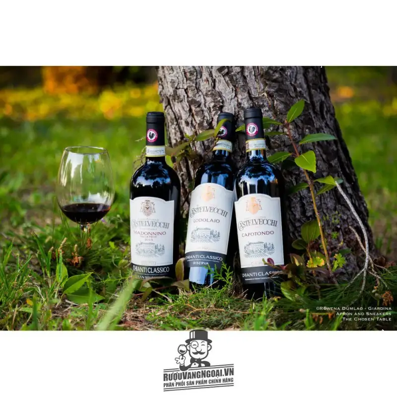 Địa chỉ mua ruou vang castelvecchi gran selezione chianti classico madonnino giá rẻ nhất