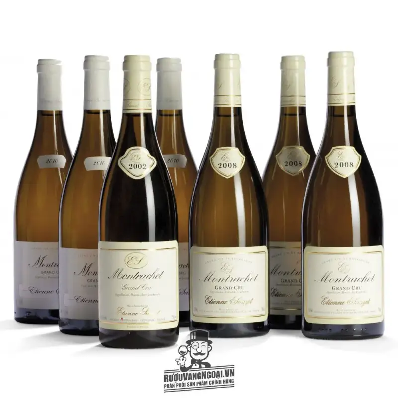 Địa chỉ bán vang phap chevalier montrachet grand cru etienne sauzet giá rẻ tại Sài Gòn