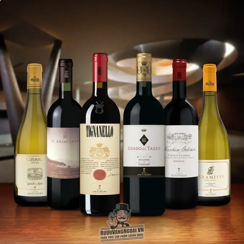 vang-y-il-bruciato-bolgheri-marchesi-antinori