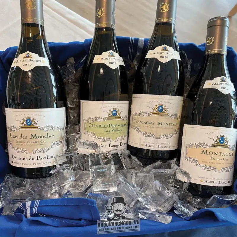 Địa chỉ bán vang phap cote de nuits villages albert bichot giá rẻ nhất