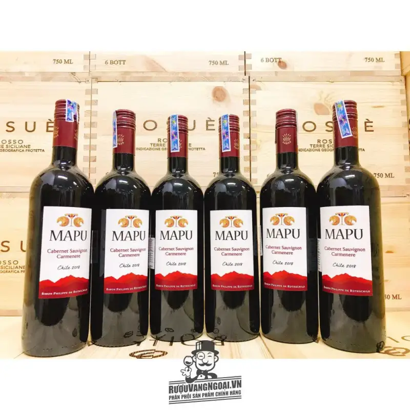 Địa chỉ bán vang chile mapu baron philippe de rothschild red white giá rẻ nhất