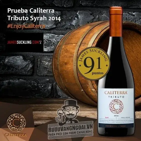 Vang Chile CALITERRA Tributo Syrah