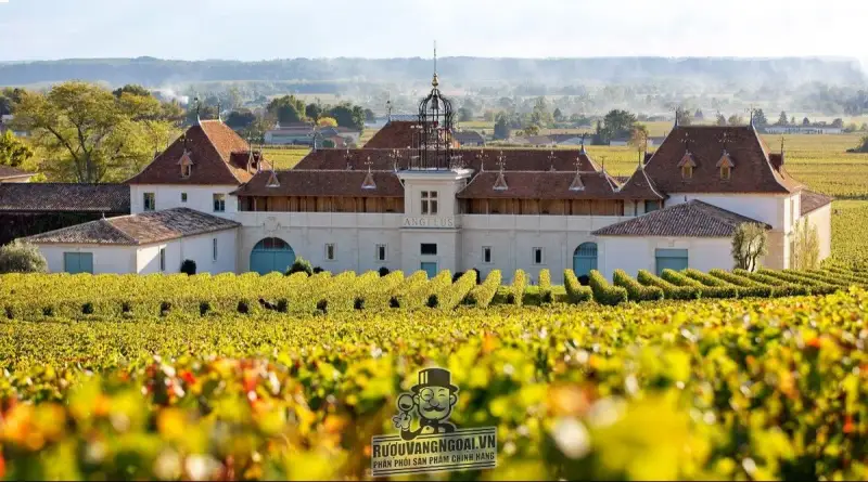 Vang Pháp CHATEAU ANGELUS PREMIER GRAND CRU CLASSE