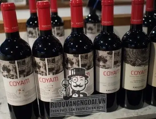 Vang Chile COYAM EMILIANA