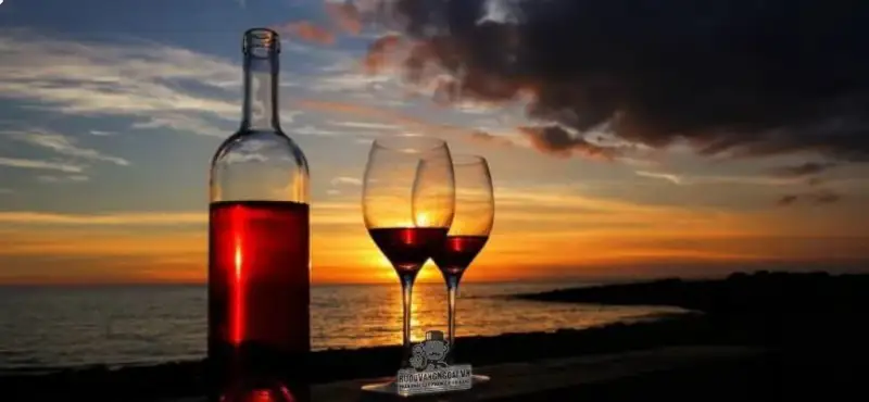 Vang hồng Ý Feudi Nigri Rosato Salento