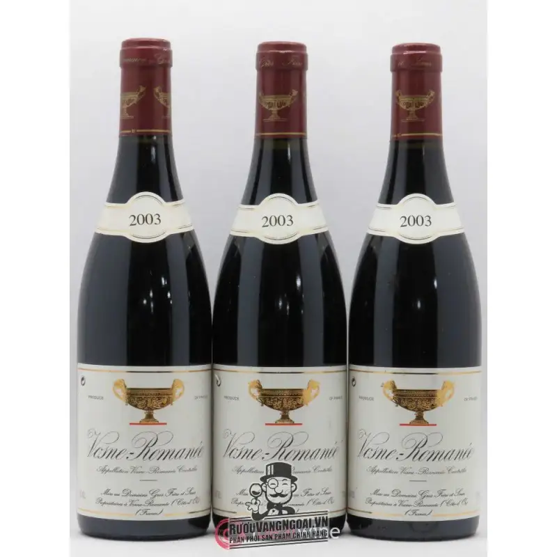Vang Pháp Domaine Gros Frere et Soeur Vosne Romanee cao cấp