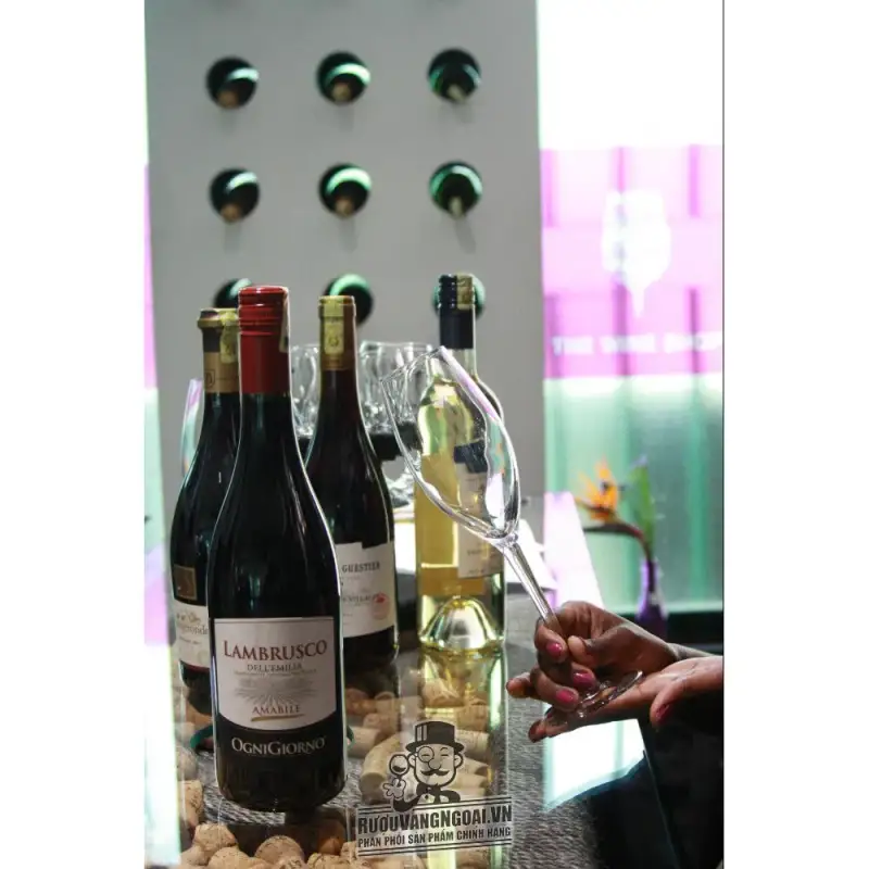 Địa chỉ bán vang y lambrusco dell emilia ogni giorno giá rẻ tại Sài Gòn