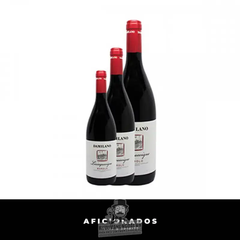 Rượu vang Ý Damilano Barolo Lecinquevigne