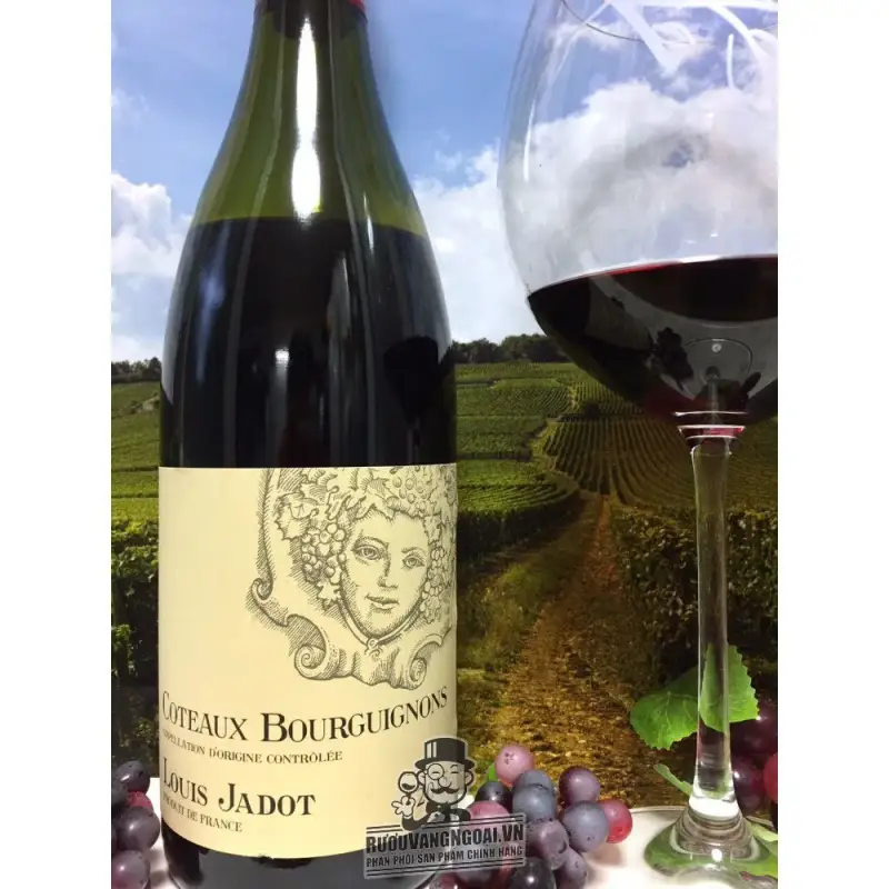 Mua vang phap louis jadot coteaux bourguignon do ở đâu giá rẻ nhất