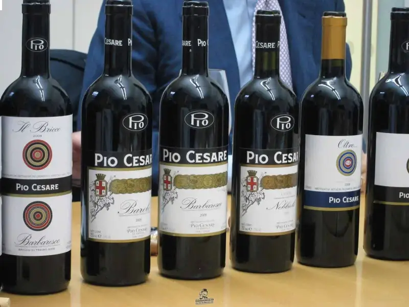 Vang Ý Pio Cesare Il Bricco Single Vineyard