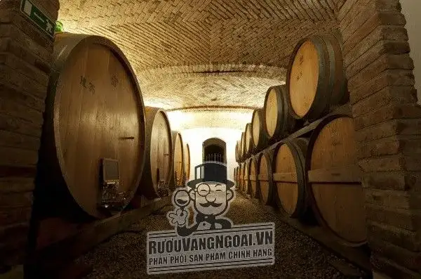 Vang Ý GIANNI GAGLIARDO BAROLO CASTELLETTO
