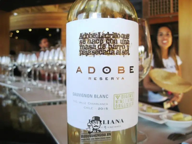 Vang Chile ADOBE Reserva Sauvignon Blanc