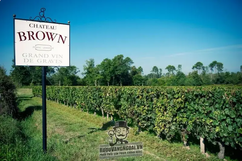 Chateau Brown - xtrawine DE