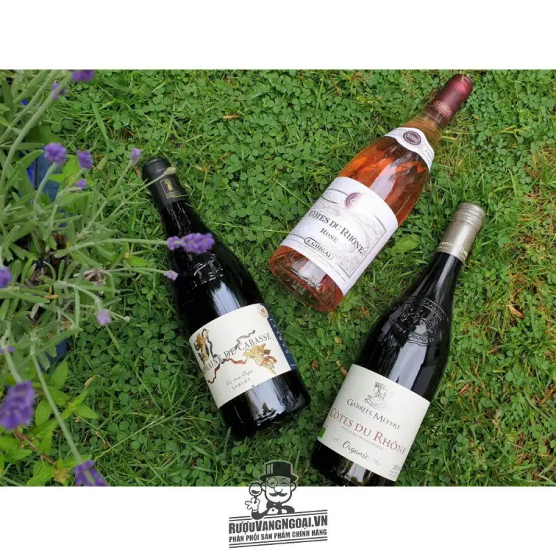 Địa chỉ bán vang phap cotes du rhone guigal rose giá rẻ nhất
