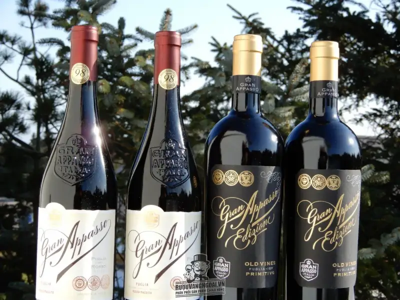 Vang Ý 16 ĐỘ GRAN APPASSO EDIZIONE OLD VINES