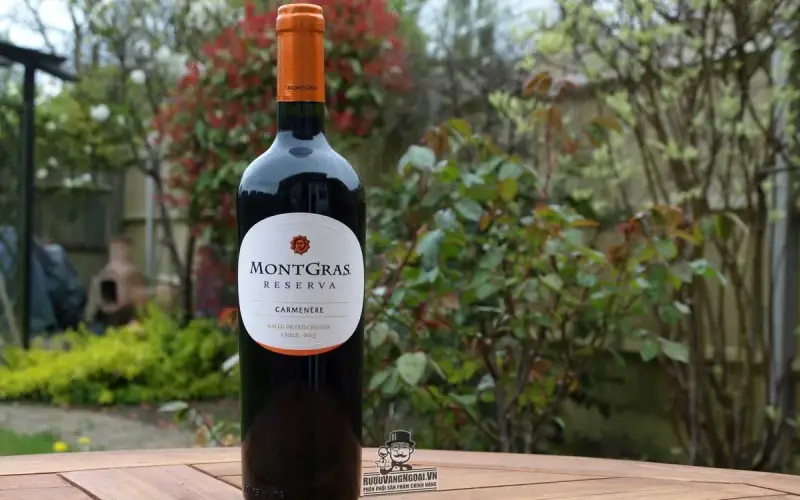 Vang Chile MONTGRAS Reserva Carmenere
