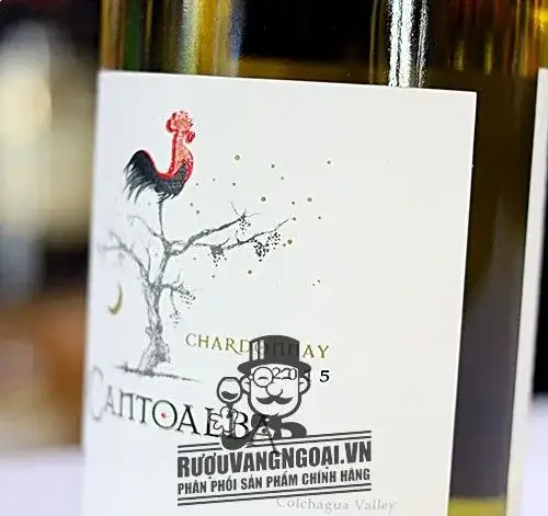 Vang Chile Cantoalba Chardonnay