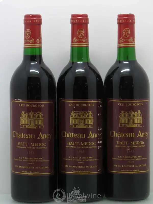 Vang Pháp Chateau Aney HAUT MEDOC