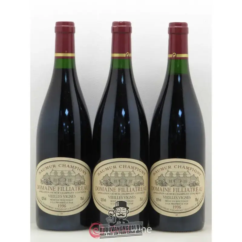 Địa chỉ mua vang phap domaine filliatreau saumur champigny vieilles vignes giá rẻ nhất
