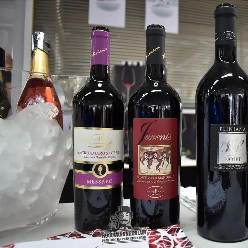 Mua negroamaro salento ở đâu giá rẻ nhất