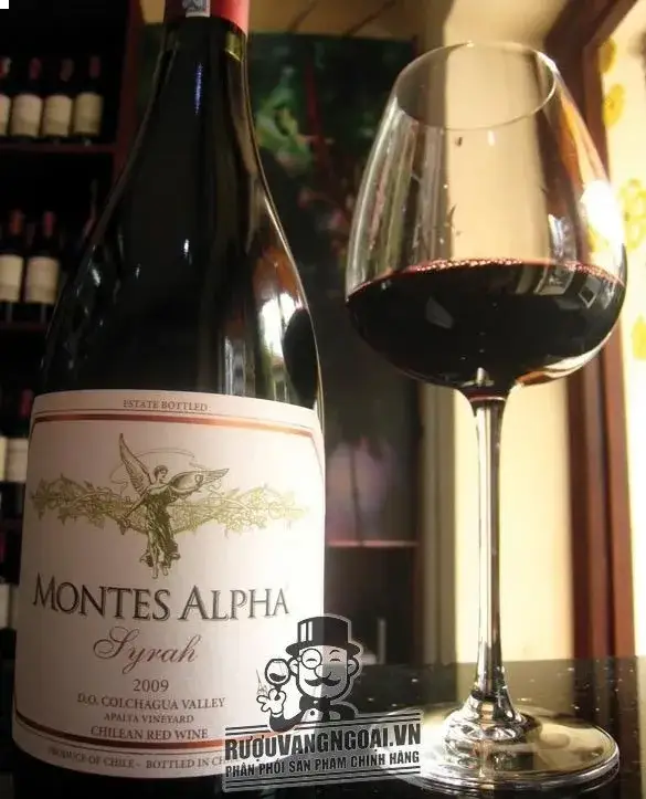 Vang Chile Montes Alpha Syrah