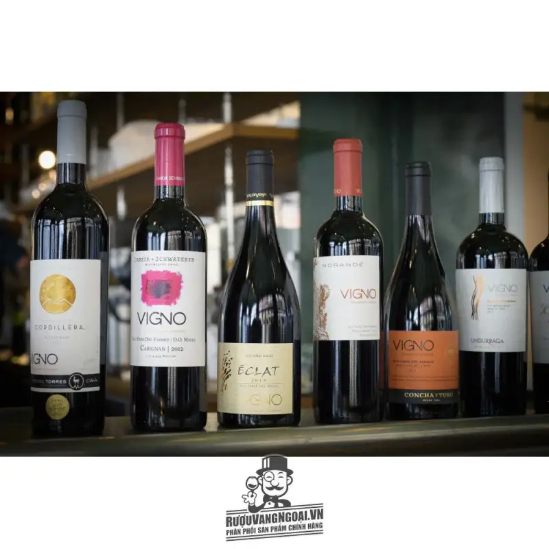 Vang Chile Vigno Old Vines Dry Farmed Concha Y Toro Carignan
