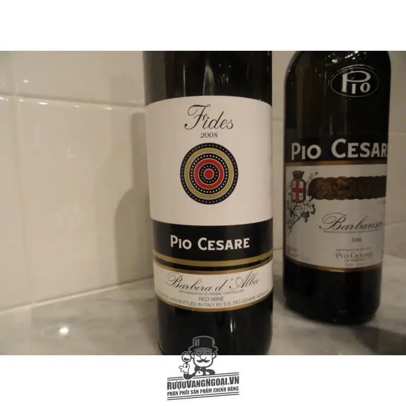 Địa chỉ bán vang y pio cesare fides barbera d alba giá rẻ tại Sài Gòn