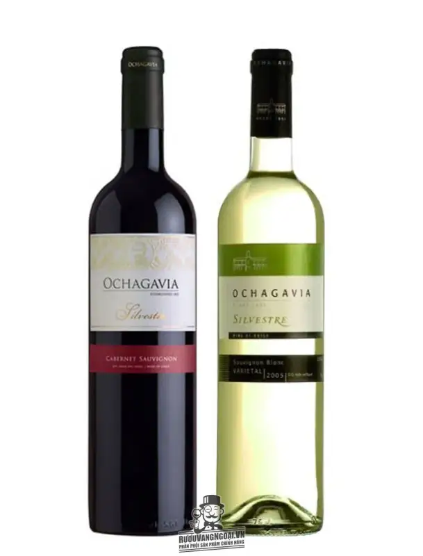 Vang Chile OCHAGAVIA Silvestre Sauvignon Blanc