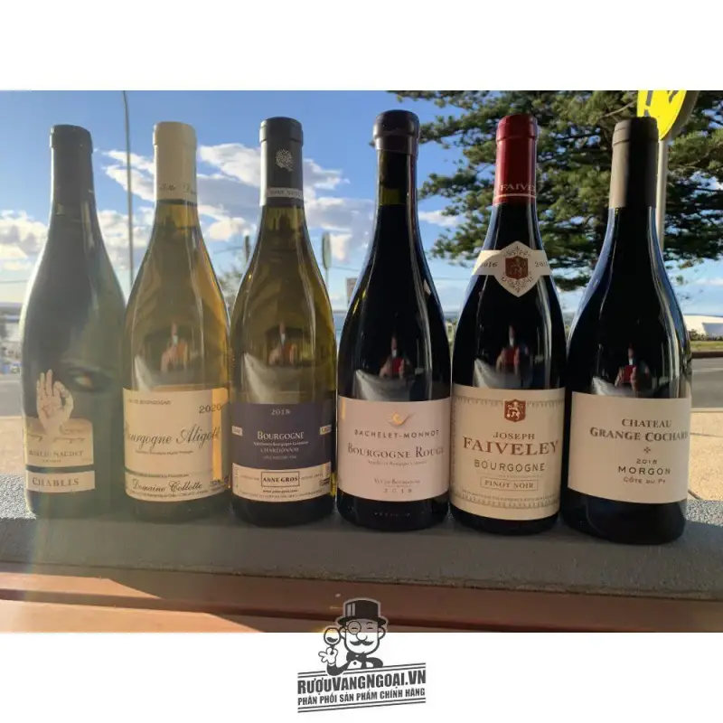 Địa chỉ bán vang phap faiveley bourgogne red white giá rẻ tại Hà Nội