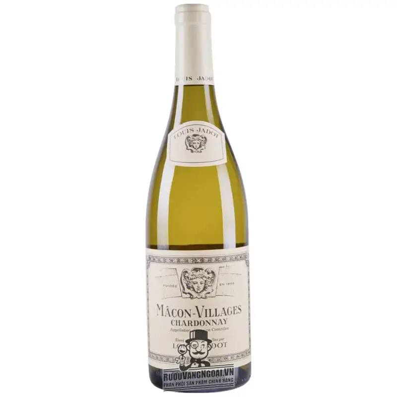 Địa chỉ bán vang phap bourgogne aligote louis jadot giá rẻ tại Hà Nội