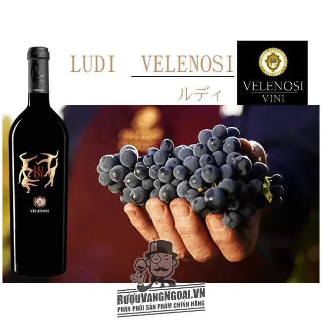 Rượu vang ý LUDI Velenosi