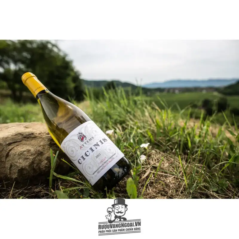 Rượu vang Attems Cicinis Collio