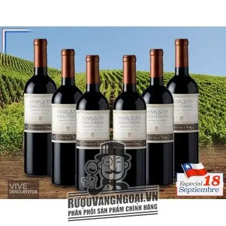 Vang chile CONCHA Y TORO MARQUES CASA CONCHA Cabernet Sauvignon