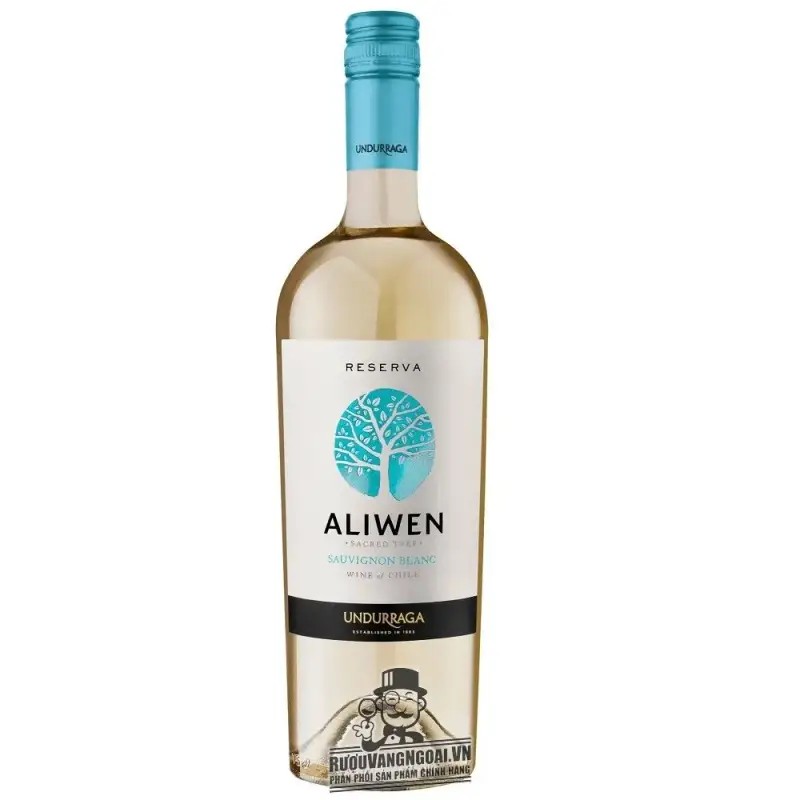Vang chile Undurraga Aliwen Reserva Sauvignon Blanc