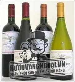 Vang Chile Montes Alpha Syrah