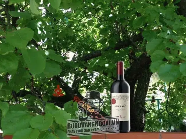 Vang Ý Ser Lapo Mazzei Chianti Classico Riserva