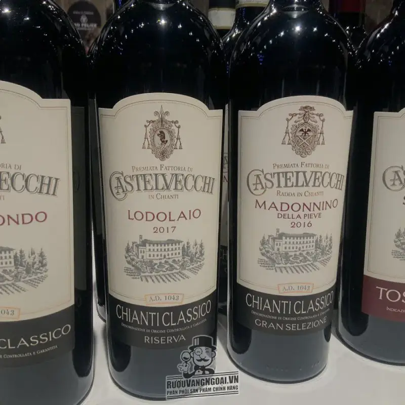 Mua ruou vang castelvecchi gran selezione chianti classico madonnino ở đâu giá rẻ nhất