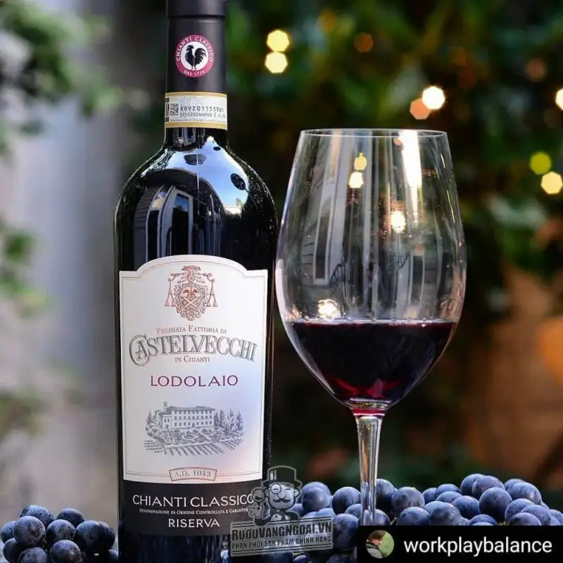Giá vang y castelvecchi lodolaio chianti classico riserva