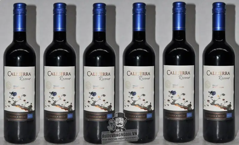 Vang Chile CALITERRA Reserva Merlot