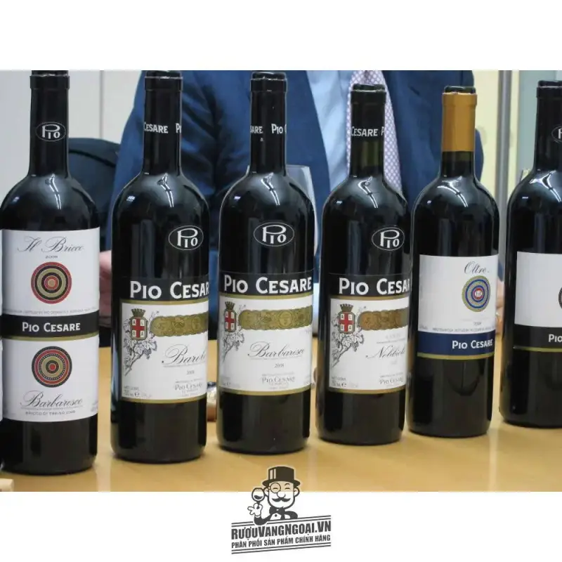 Mua vang y pio cesare ornato single vineyard barolo gia re giá rẻ tại Sài Gòn