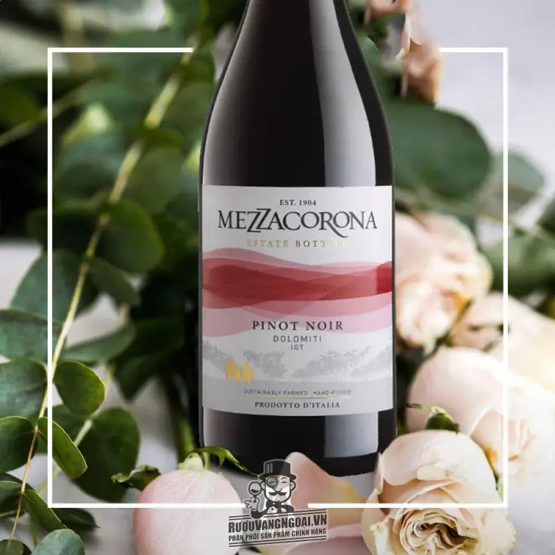 vang y mezzacorona pinot noir dolomiti igt giá bao nhiêu