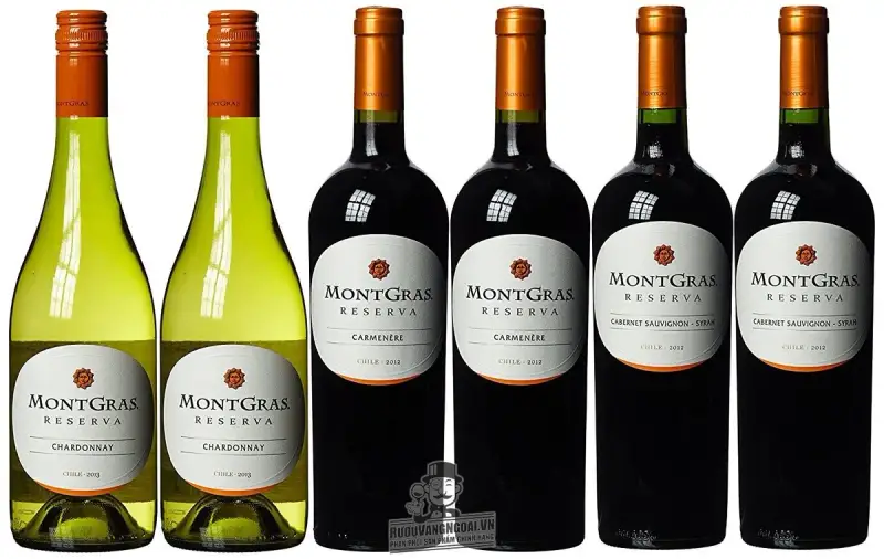 Vang Chile MontGras Chardonnay