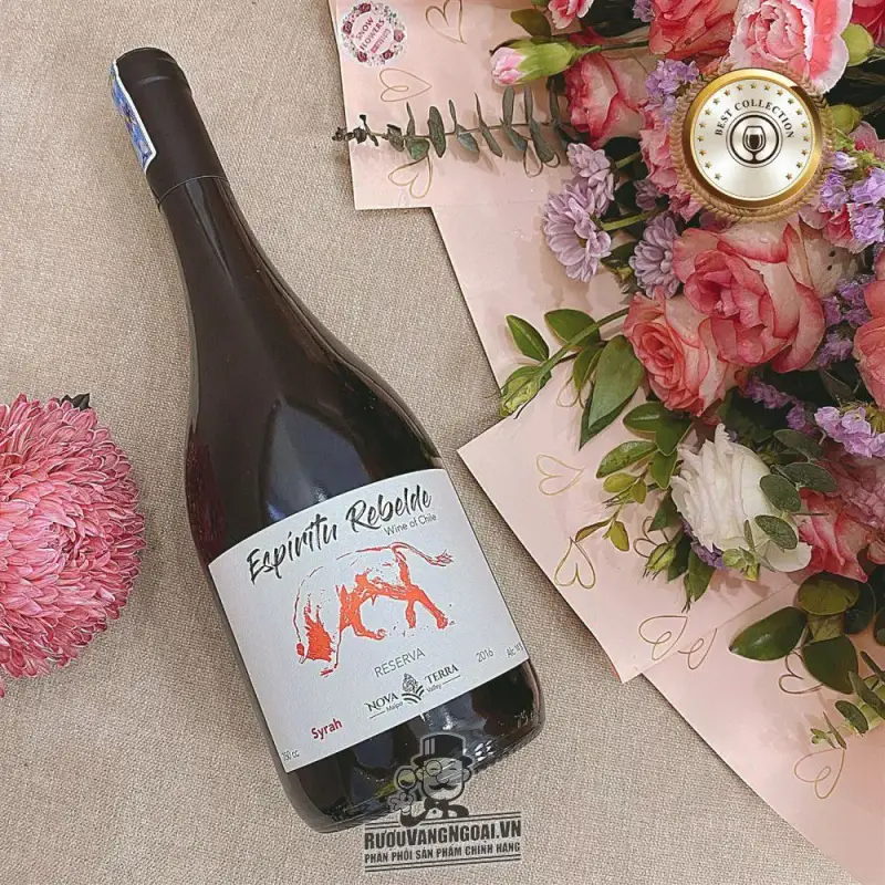 Vang Chile Espiritu Rebelde Syrah Reserva