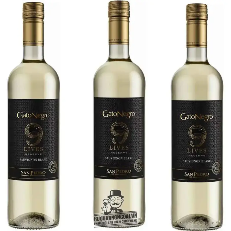 Địa chỉ bán vang chile gato negro lives san pedro reserve red white giá rẻ tại Sài Gòn